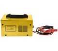Magnum AGRI 15 V2 6/12V - Inwertorowy prostownik 6/12V 