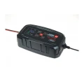 Ideal EXPERT CHARGER 25 - Prostownik 12/24V