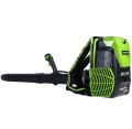 GreenWorks GD60BPB - Akumulatorowa dmuchawa plecakowa 60 V