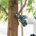 MAKITA DUC101SF01 - Akumulatorowa pilarka łańcuchowa 18 V