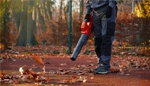 Must have jesieni? Dmuchawa ogrodowa do liści!