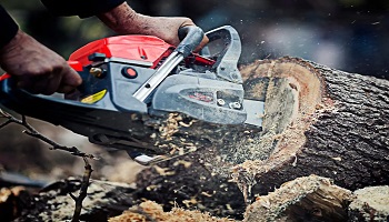 Piły łańcuchowe do domu i lasu